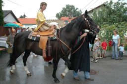 Burgfest 2006 (Fotos Manfred Schretzmayer)