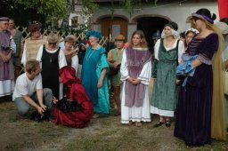 Burgfest 2006 (Fotos Manfred Schretzmayer)