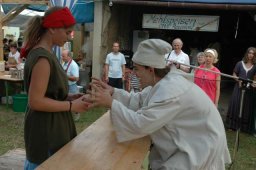 Burgfest 2006 (Fotos Manfred Schretzmayer)