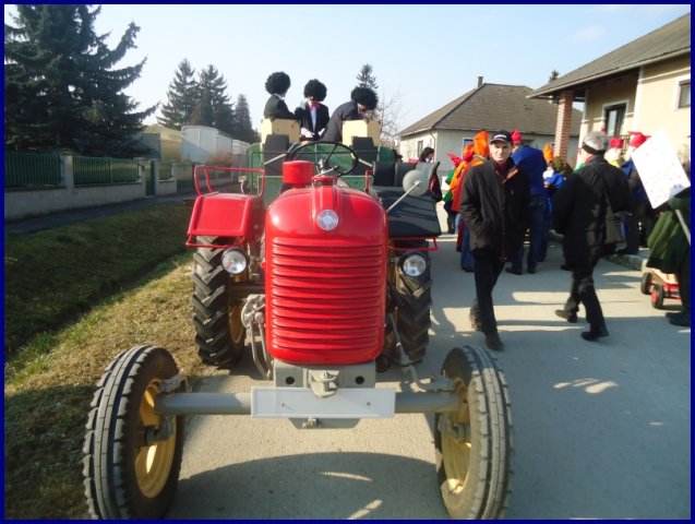Faschingsumzug 2015 (Fotos Franz Amon)
