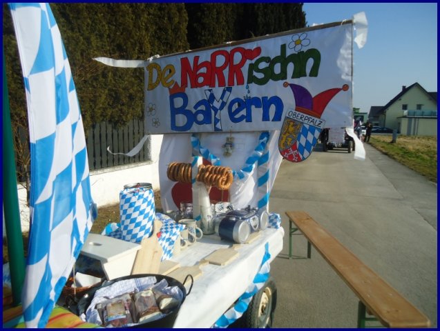 Faschingsumzug 2015 (Fotos Franz Amon)