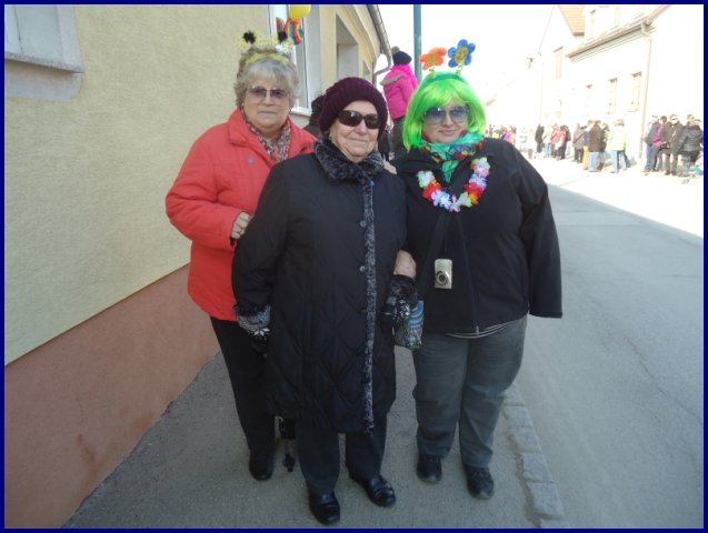 Faschingsumzug 2015 (Fotos Franz Amon)