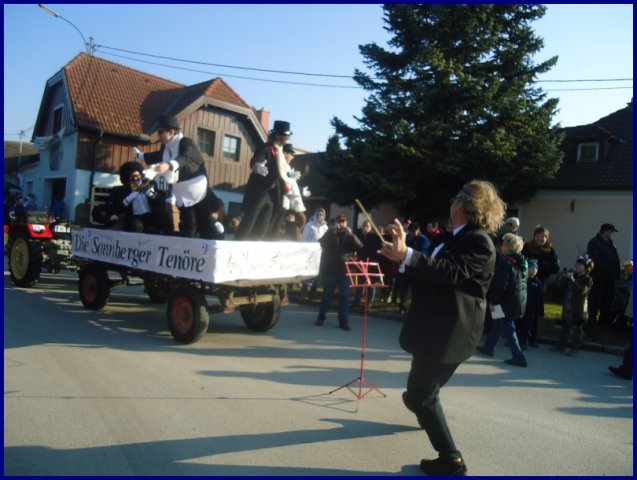 Faschingsumzug 2015 (Fotos Franz Amon)