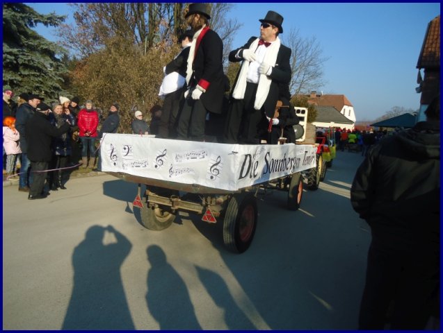 Faschingsumzug 2015 (Fotos Franz Amon)