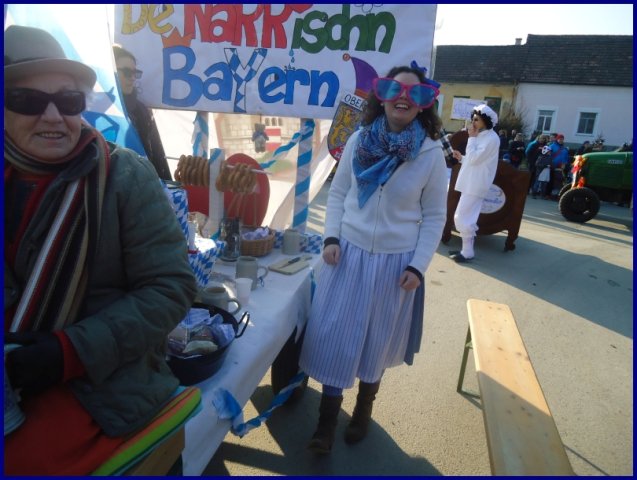 Faschingsumzug 2015 (Fotos Franz Amon)