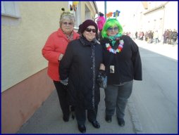 Faschingsumzug 2015 (Fotos Franz Amon)