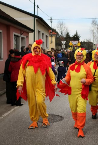 Faschingsumzug 2017 (Fotos Friedrich Weber)