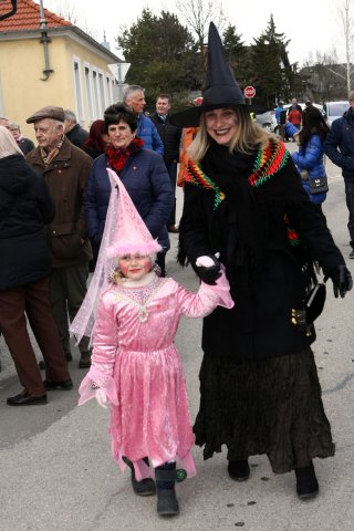 Faschingsumzug 2017 (Fotos Friedrich Weber)