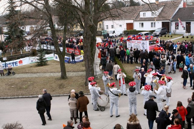 Faschingsumzug 2017 (Fotos Friedrich Weber)