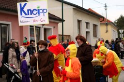 Faschingsumzug 2017 (Fotos Friedrich Weber)