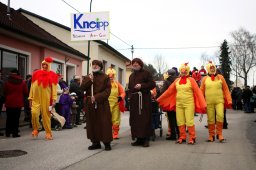 Faschingsumzug 2017 (Fotos Friedrich Weber)