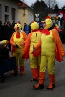 Faschingsumzug 2017 (Fotos Friedrich Weber)