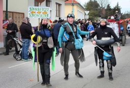 Faschingsumzug 2017 (Fotos Friedrich Weber)