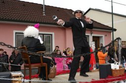 Faschingsumzug 2017 (Fotos Friedrich Weber)