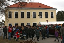 Faschingsumzug 2017 (Fotos Friedrich Weber)