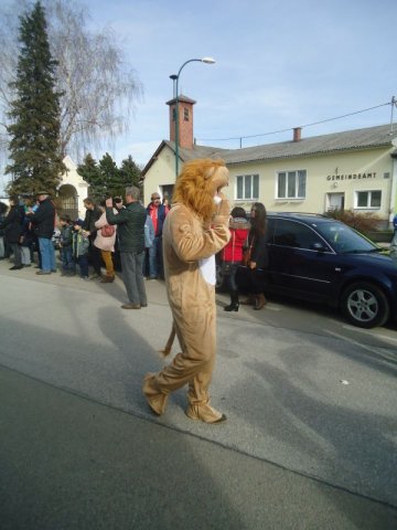 Faschingsumzug 2019 (Fotos Franz Amon)