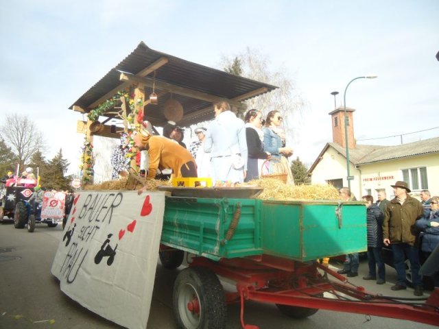 Faschingsumzug 2019 (Fotos Franz Amon)