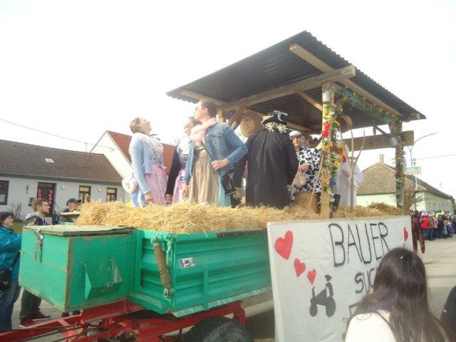 Faschingsumzug 2019 (Fotos Franz Amon)