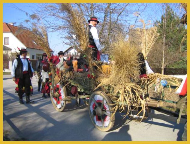 Narrentreiben 2007 (Fotos Herbert bzw Harald Binder)