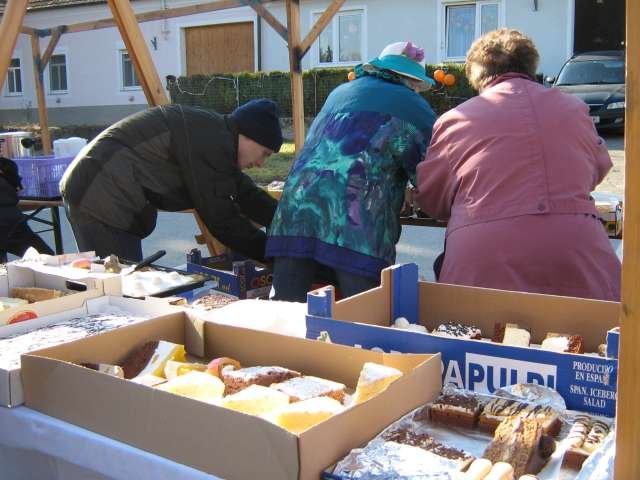Narrentreiben 2007 (Fotos Herbert bzw Harald Binder)