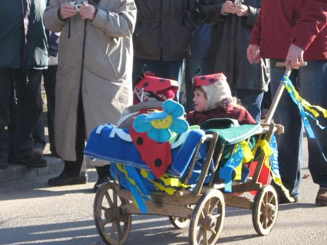 Narrentreiben 2007 (Fotos Herbert bzw Harald Binder)