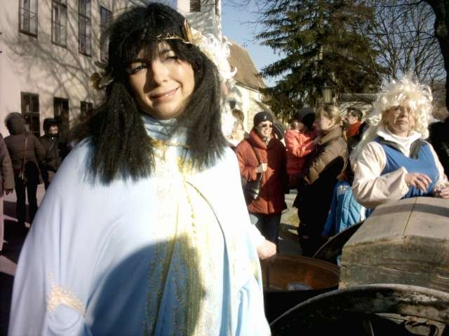 Narrentreiben 2007 (Fotos Herbert bzw Harald Binder)