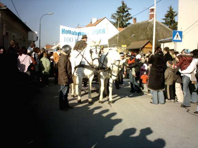 Narrentreiben 2007 (Fotos Herbert bzw Harald Binder)