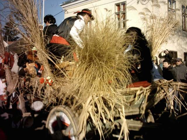 Narrentreiben 2007 (Fotos Herbert bzw Harald Binder)