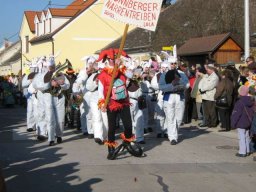 Narrentreiben 2007 (Fotos Herbert bzw Harald Binder)
