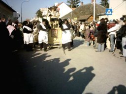 Narrentreiben 2007 (Fotos Herbert bzw Harald Binder)