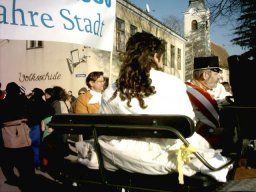 Narrentreiben 2007 (Fotos Herbert bzw Harald Binder)