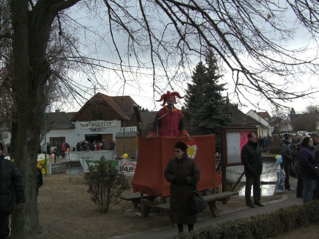 Narrentreiben 2011 (Fotos Robert Bayer)