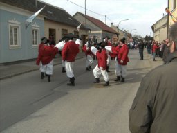 Narrentreiben 2011 (Fotos Robert Bayer)