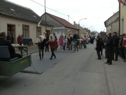 Narrentreiben 2011 (Fotos Robert Bayer)