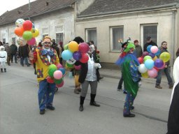 Narrentreiben 2011 (Fotos Robert Bayer)