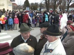 Narrentreiben 2011 (Fotos Robert Bayer)