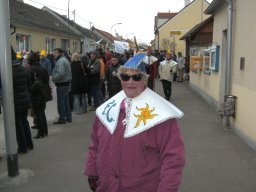 Narrentreiben 2011 (Fotos Robert Bayer)