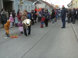 Narrentreiben 2011 (Fotos Robert Bayer)