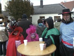 Narrentreiben 2011 (Fotos Robert Bayer)