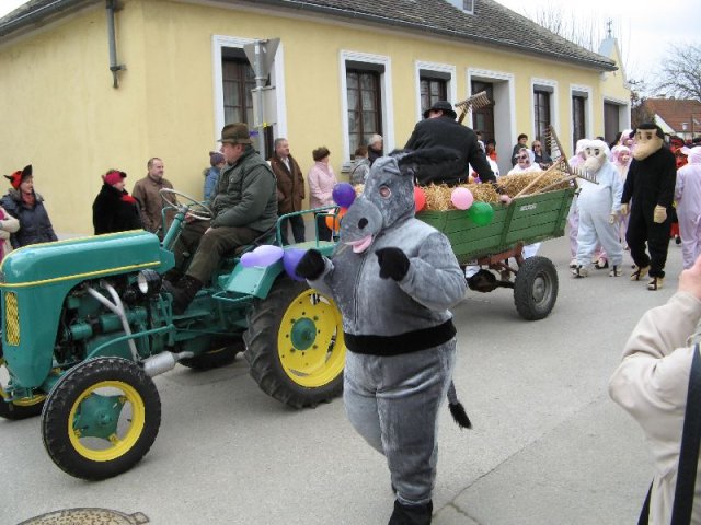Narrentreiben 2011 (Fotos G. Obermann)