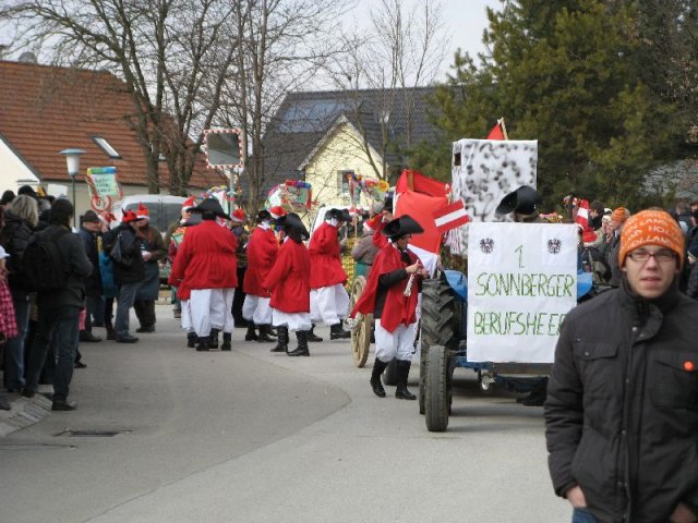 Narrentreiben 2011 (Fotos G. Obermann)