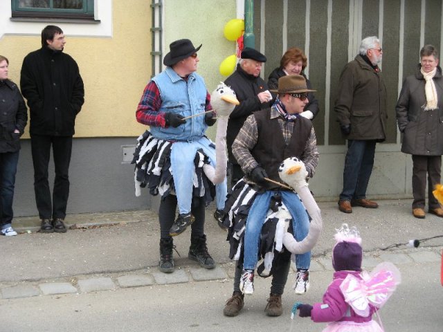 Narrentreiben 2011 (Fotos G. Obermann)