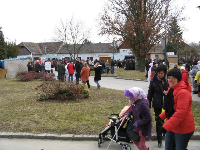 Narrentreiben 2011 (Fotos G. Obermann)