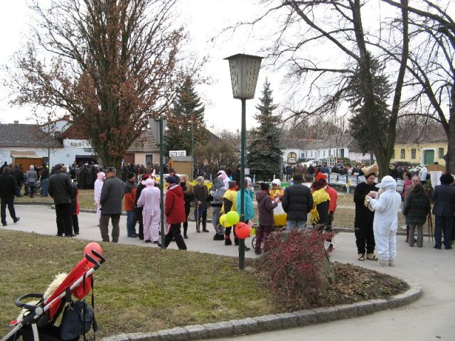 Narrentreiben 2011 (Fotos G. Obermann)