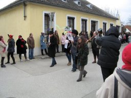 Narrentreiben 2011 (Fotos G. Obermann)