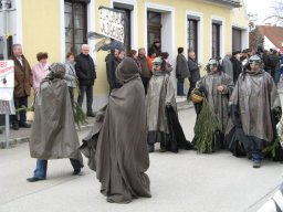 Narrentreiben 2011 (Fotos G. Obermann)