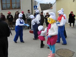 Narrentreiben 2011 (Fotos G. Obermann)