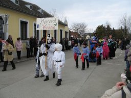 Narrentreiben 2011 (Fotos G. Obermann)