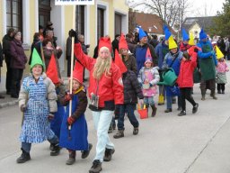 Narrentreiben 2011 (Fotos G. Obermann)
