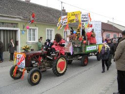 Narrentreiben 2011 (Fotos G. Obermann)